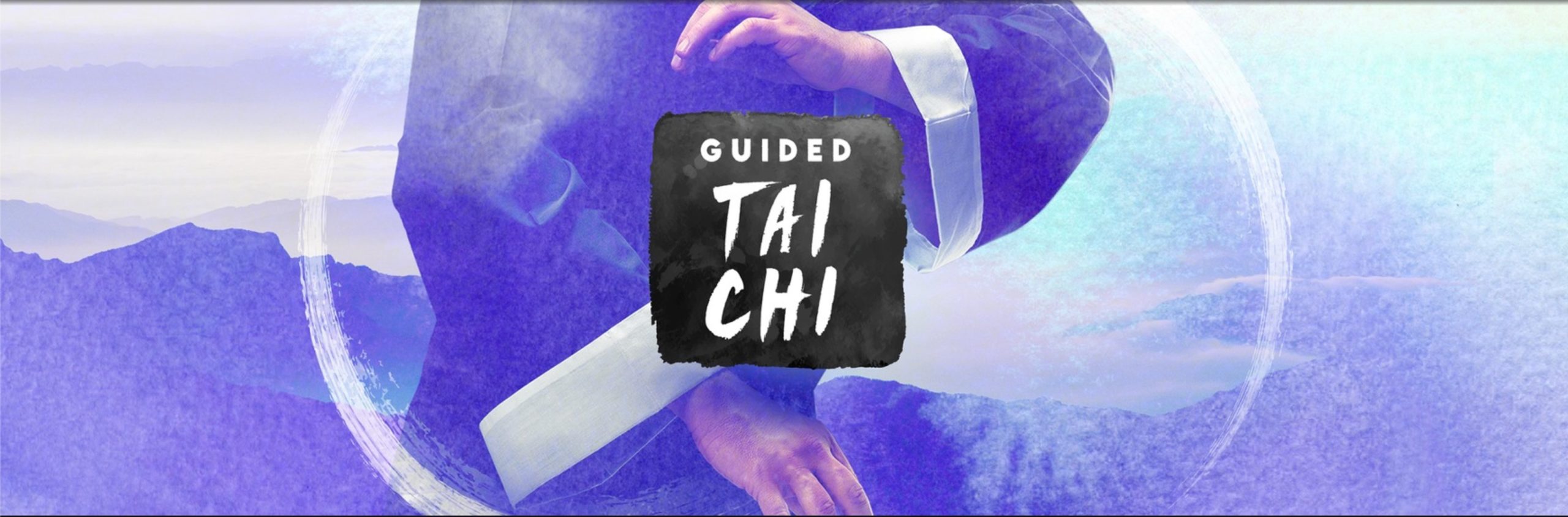 Guided tai chi clearance vr review